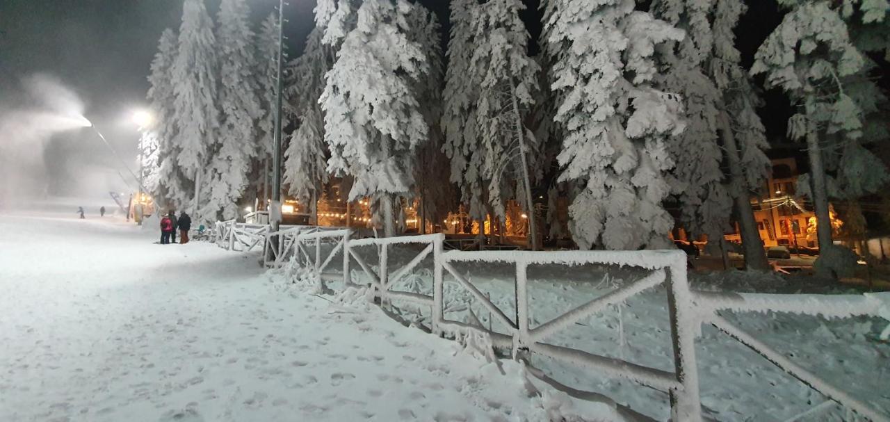 Fox Boutique Apartment Borovets Gardens Exterior photo