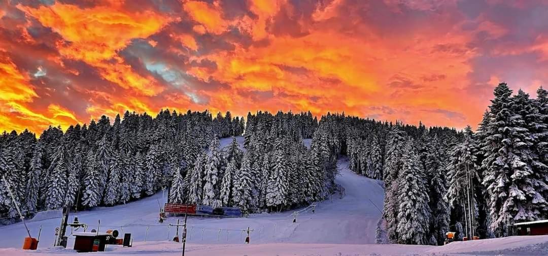 Fox Boutique Apartment Borovets Gardens Exterior photo